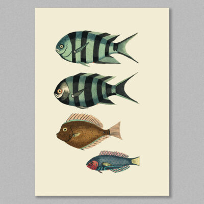fish 18 poster