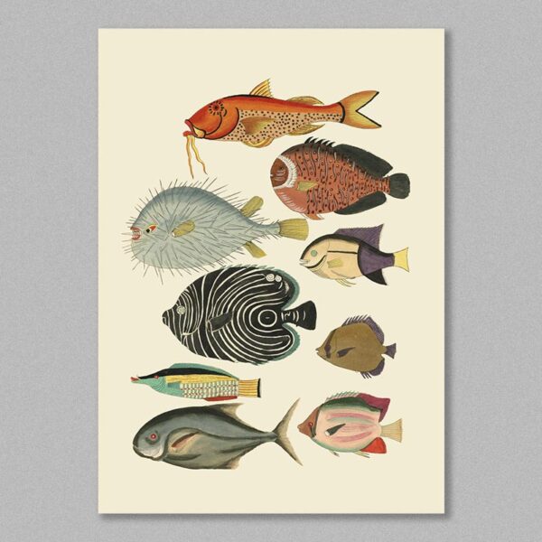 fish 20 poster
