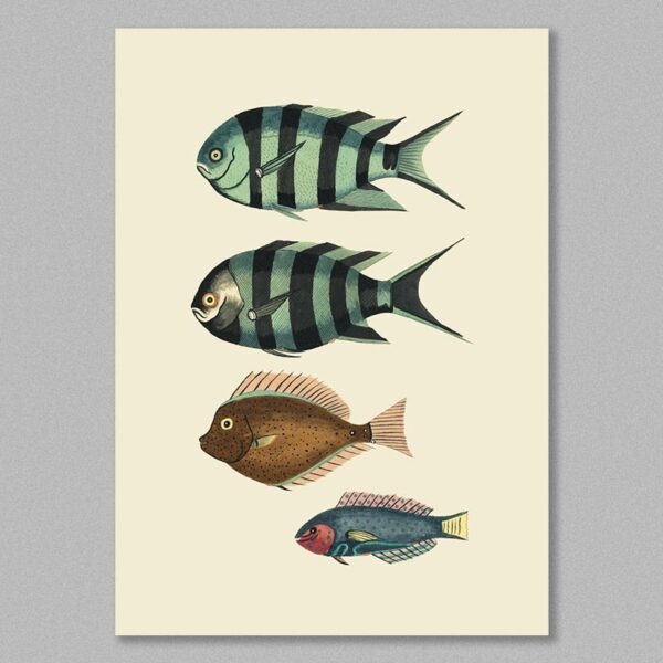 fish 23 poster