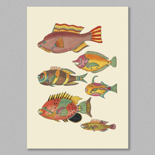 fish 24 poster