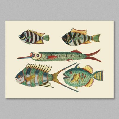 fish 25 poster