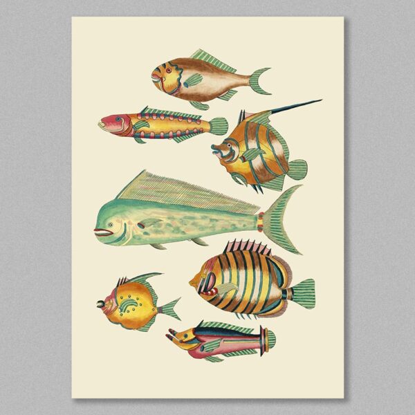 fish 28 poster