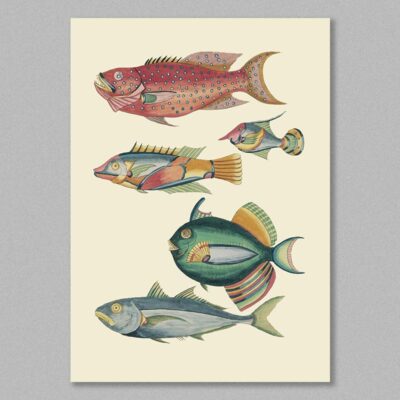 fish 30 poster