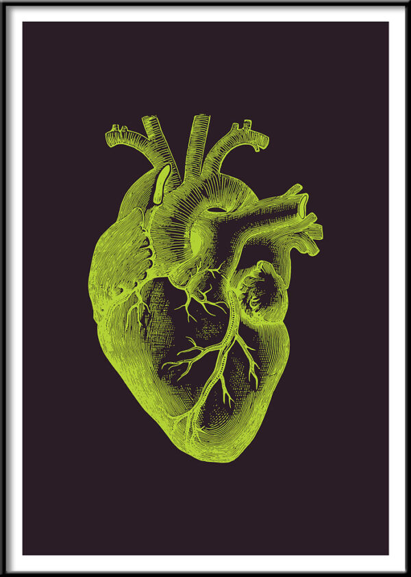 anatomical heart print