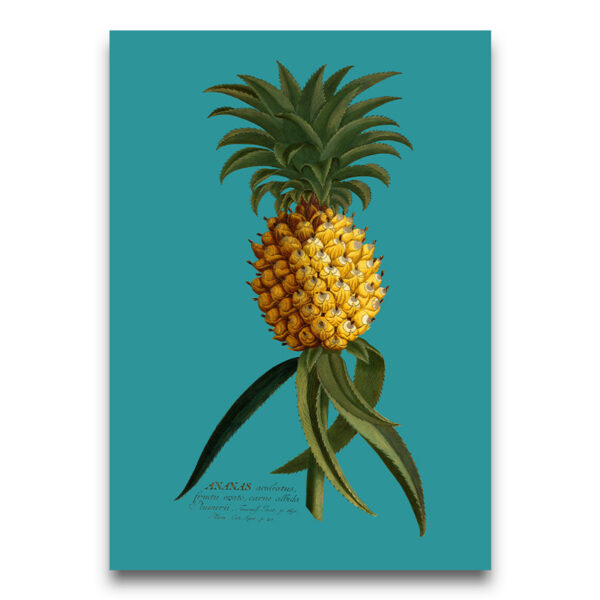 Pineapple poster blue
