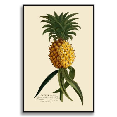 ananas poster