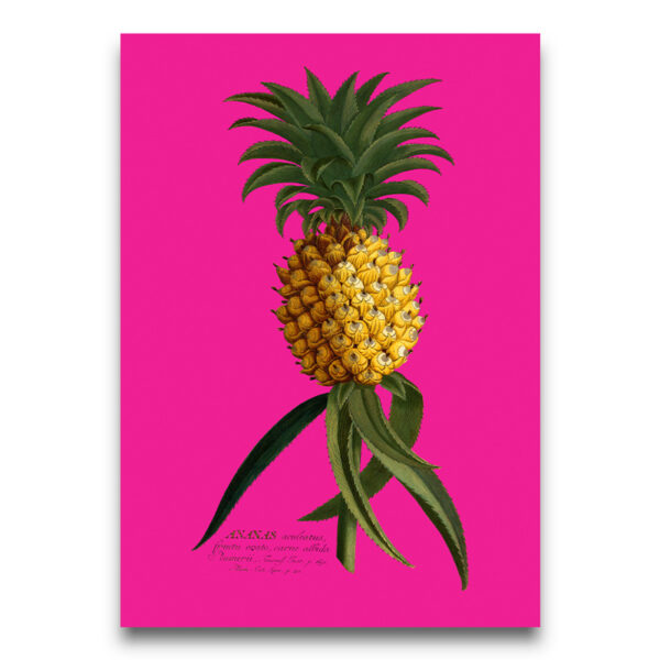 Pineapple poster pink