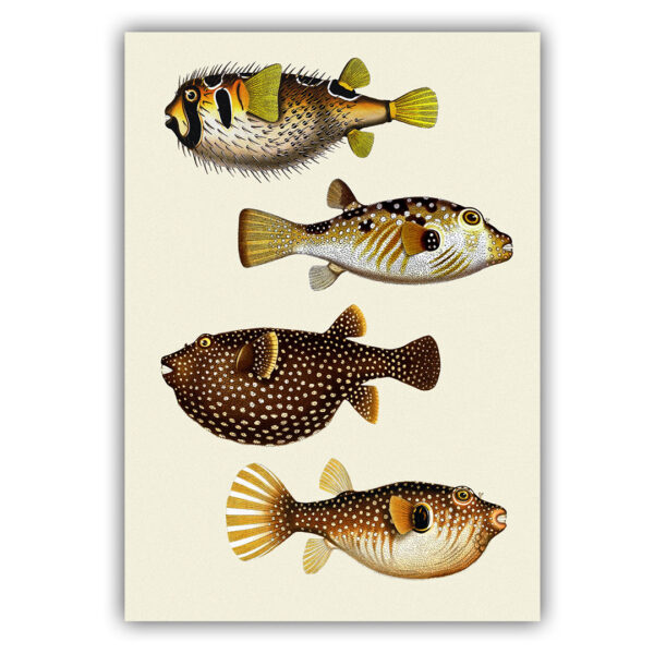 Fish poster 05