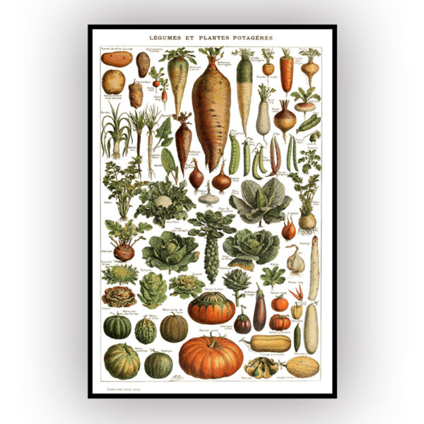 Vegetables poster white