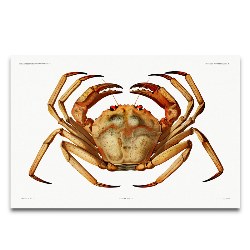 Vintage crab poster 2