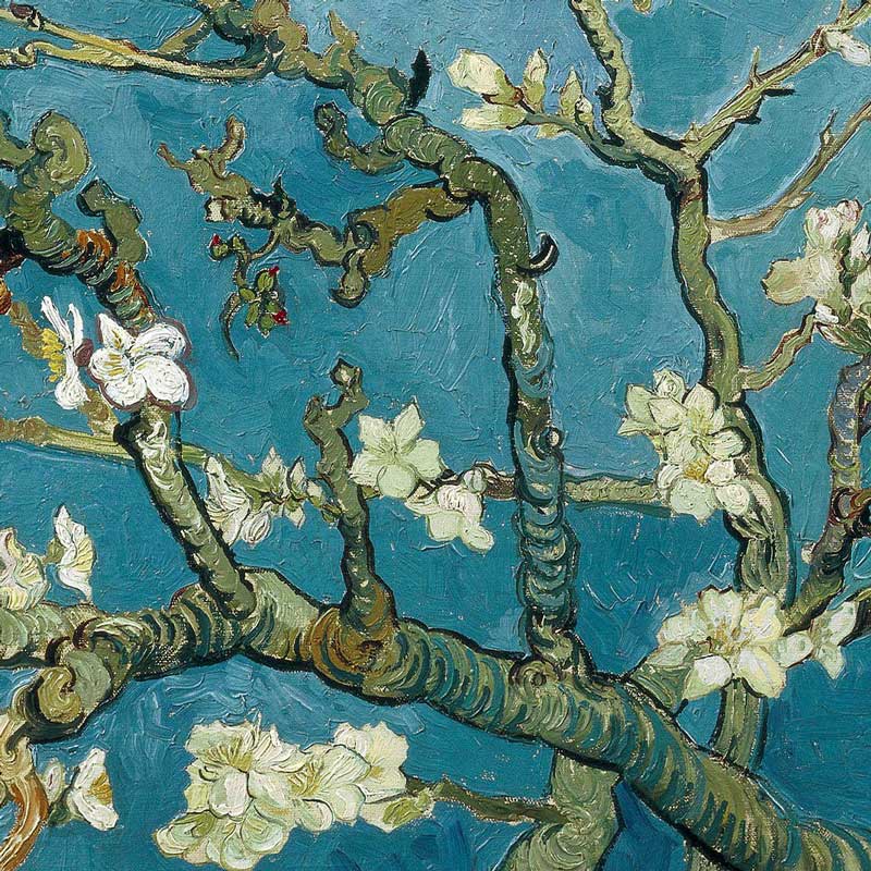 detail of Almond Blossom by Vincent van Gogh