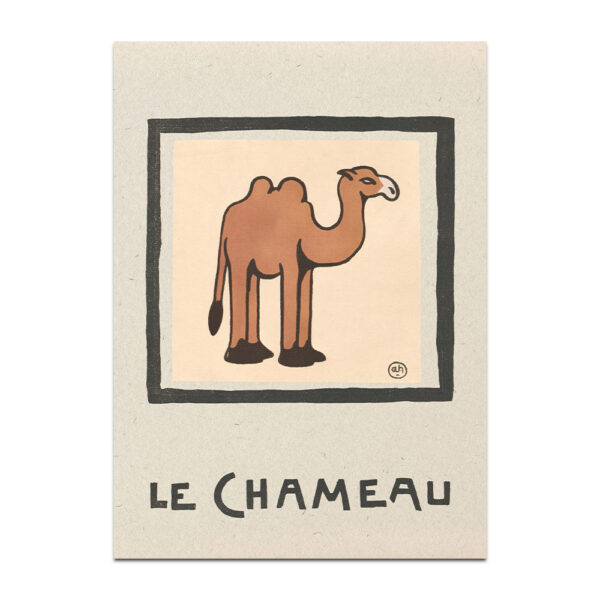 Le Chameau illustration