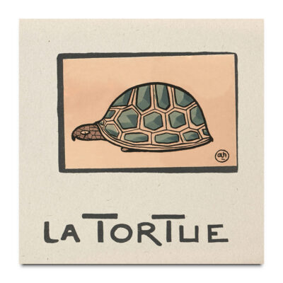 La Tortue by Andre Helle
