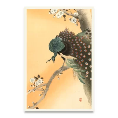 Peacock in Japanese art
