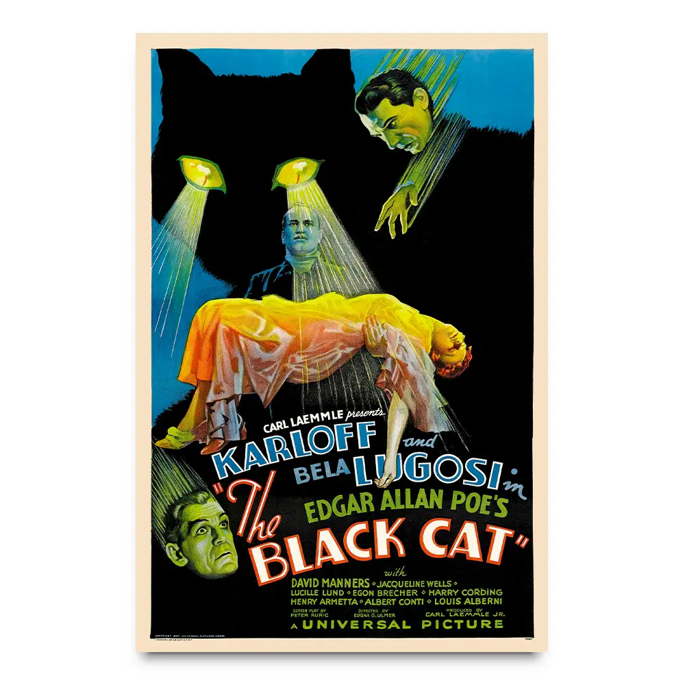 Black cat film poster