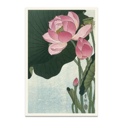 Japanese Lotus flower poster