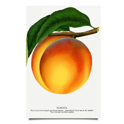 Peach poster