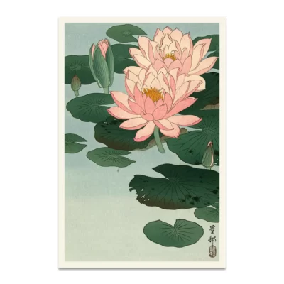 Japanese waterlillies poster