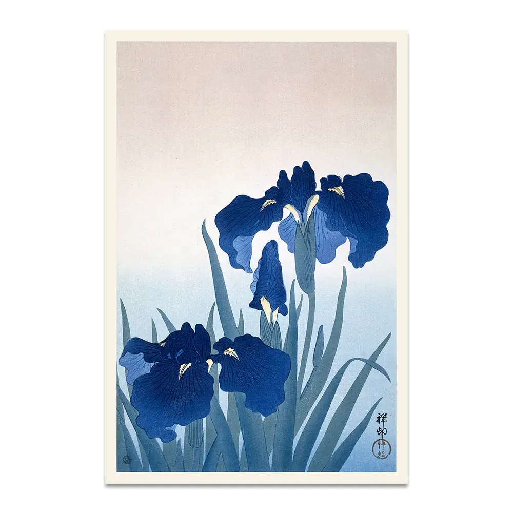 Irises by Ohara Kohson