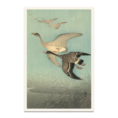 Ohara Kohson geese poster