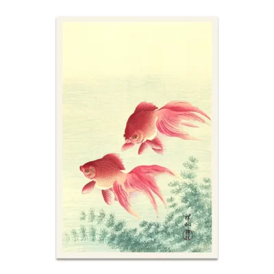 Japanese goldfish poster